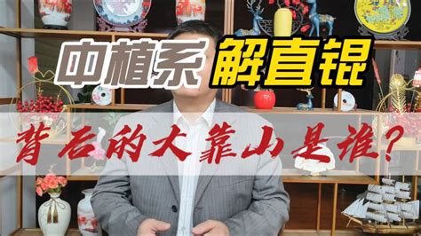 中植系的中央靠山是谁|起底中国民营资本大鳄——中植系/海航系